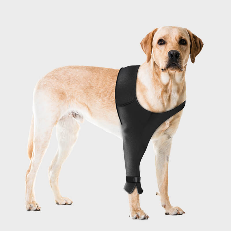 dog front leg sleeve_right-Supet